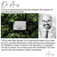 Dr. Arsy Moisturizer #003